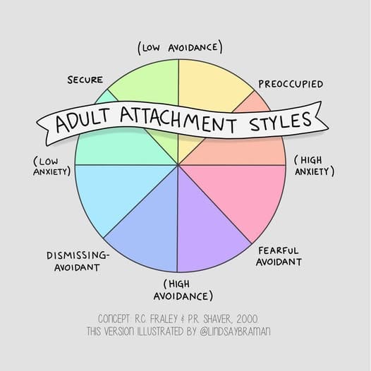 Tipurile de atașament și modul în care acestea se formează